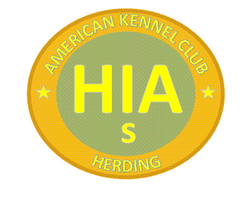 AKC Herding Intermediate