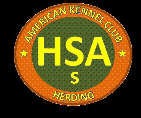 AKC Herding Started