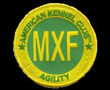 AKC Masters Standard