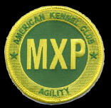 AKC MXP