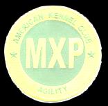 AKC MXP