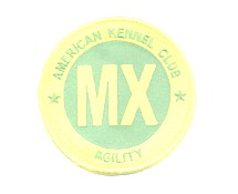 AKC Masters Standard